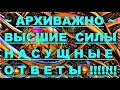 ✔ *АрхиСРОЧНО* «Высшие силы ~ Все насущные ответы !»