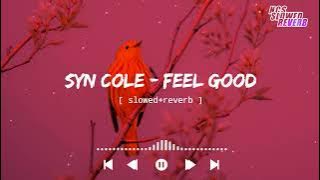 Syn Cole - Feel Good[ slowed reverb ] || NCS Music || NCS slowed reverb