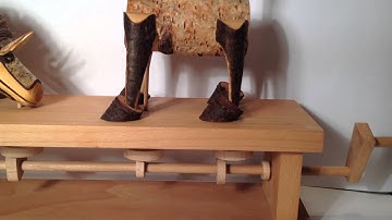 Two Mules Automata by Lisa Slater