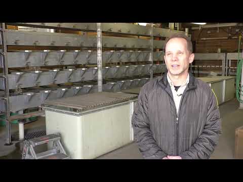 Waterville Fish Hatchery