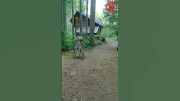 ARloopa - Octopus - 3D Model