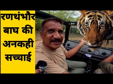 Ranthambore National Park Zone 3 Tiger Safari Facts About Tigers Ranthambore Tiger Reserve