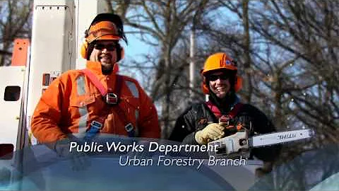 CUPE500 BECAUSEWECARE