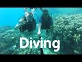 Diving Первое погружение. Egypt