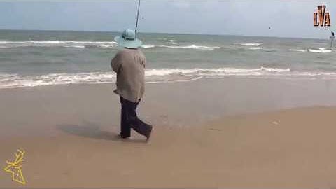 Động vật P5 - Câu cá Bống biển Vũng Tàu