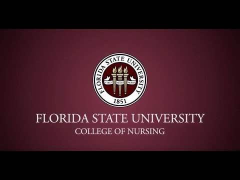 florida state university nursing phd