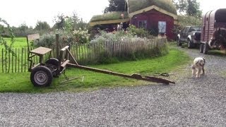 Converted Horse Cart. This fore-cart was converted to work with two horses instead of one. It was sitting in the shed for years -- because it was way too big