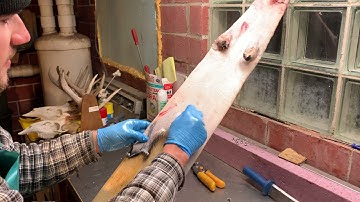 Fur Handling Series: Possum Part 3 - Boarding