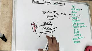 root canal irrigants