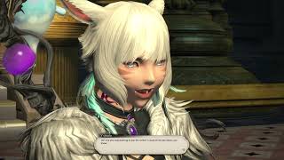FINAL FANTASY XIV ENDWALKER MSQ: Void Theory
