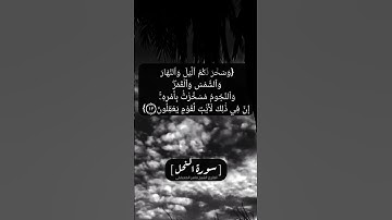 سورة النحل الآية ١٠ الى ١٣ بصوت الشيخ ماهر المعيقلي #القران_الكريم #القران_الكريم_في_الصباح