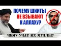 Почему эти шииты не взывают к Аллаху? | Многобожие в мольбе #4 | Время покаяния