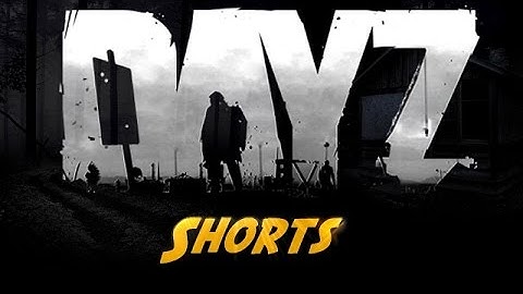 DayZ Shorts ~ Invisible Hacker Caught on Camera!