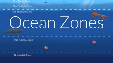 Ocean Zones | Nautilus Live