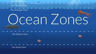 Ocean Zones | Nautilus Live