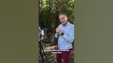 Can Radar Save Our Unique Insects? | University of Canterbury