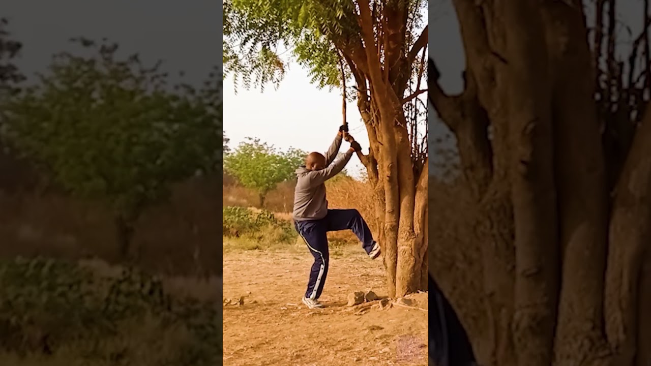 Funniest Tree Cutting Fails 8 - YouTube