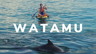 The Ultimate Guide To Watamu