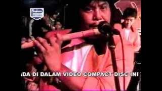 PALAPA  DICOKOT NYOKOT  VIVI ROSALITA