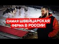 Ферма «Швейцарское молоко» | Обзор фермы | Молочное животноводство