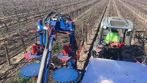 Pruning Tradeshow Video