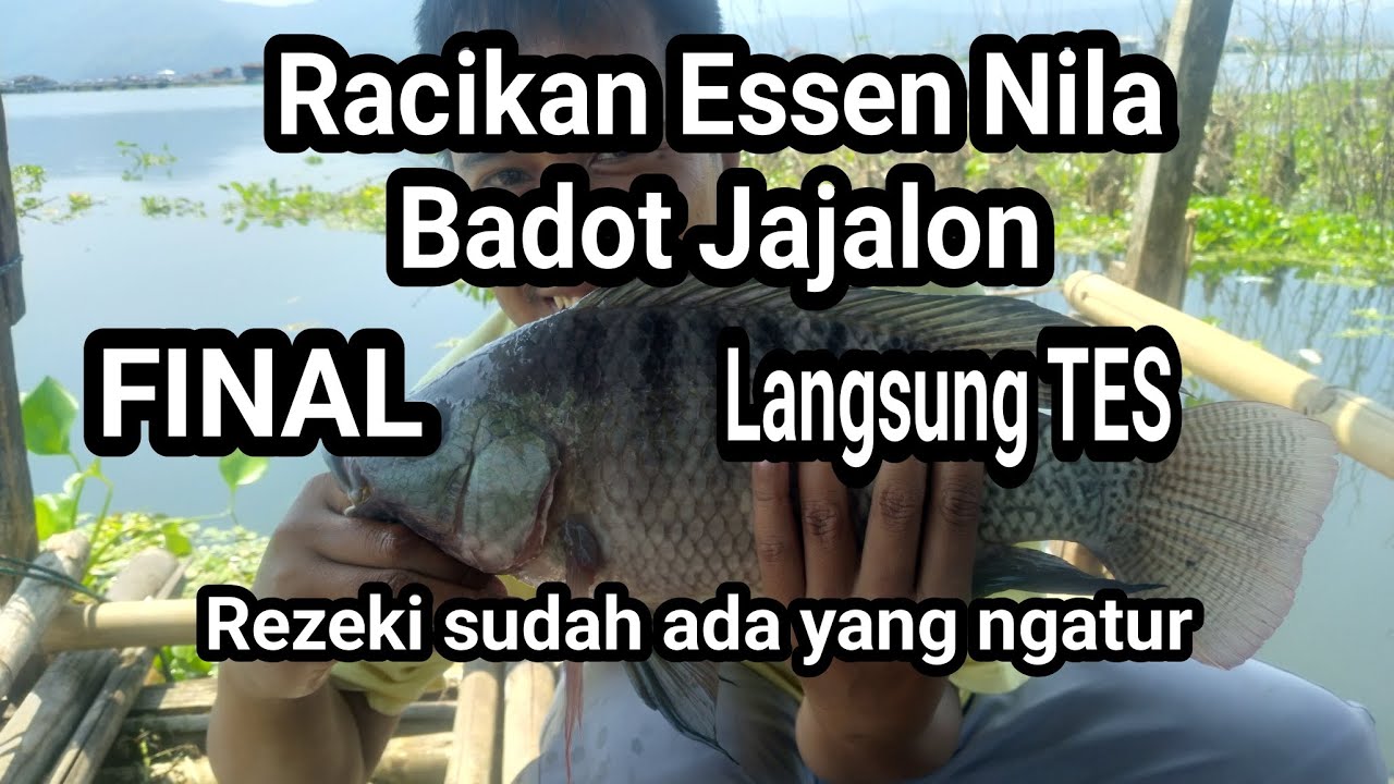 Racikan Essen Si Hitam Nila Badot Jajalon Final