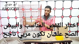 تجهيز المكان والقفص العصفير كوكتيل صح