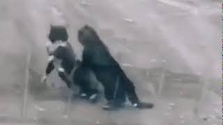 Вот это страсти