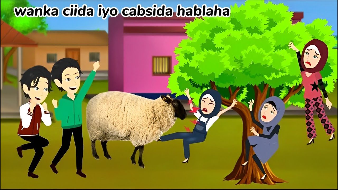 Sheeko gaaban:wanna ciida iyo cabsida hablaha