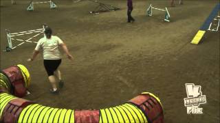 Secret - AKC National Agility Championships - 2016