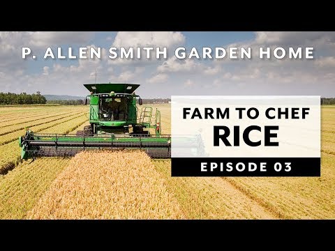 farm-to-chef-|-artisanal-rice:-garden-home-vlog-(2019)