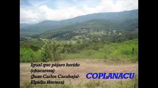 Video thumbnail of "Igual que pájaro herido Coplanacu"