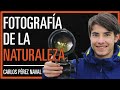 Fotografías que hablan.