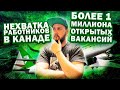 В КАНАДЕ КАТАСТРОФИЧЕСКИ НЕ ХВАТАЕТ РАБОЧЕЙ СИЛЫ // 1 МИЛЛИОН ОТКРЫТЫХ РАБОЧИХ ВАКАНСИЙ В КАНАДЕ