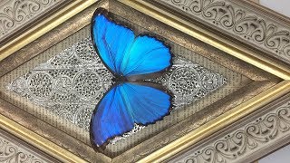 Live - Atomic Folk Art Diamond Frame for Butterfly - sound issue