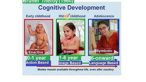 Bruner Theory of Cognitive Development 1960 short description in URDU