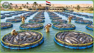 Inside Egypt’s Massive Harvest – 97 Million Tons of Food Harvested in World’s Largest Desert
