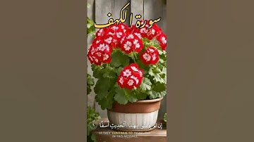 💖 آيات تحفظك من فتنة الدجال 🧿✨ تلاوة تهزّ الوجدان 🌌📖 نورٌ وسكينة كل جمعة 🌙🕊️