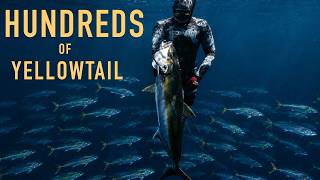 A Few Days a Year, Spearfishing California Looks Like This