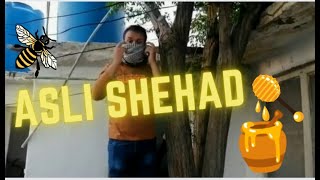 Asli Honey Shehad Kese Nikala Hum Ne