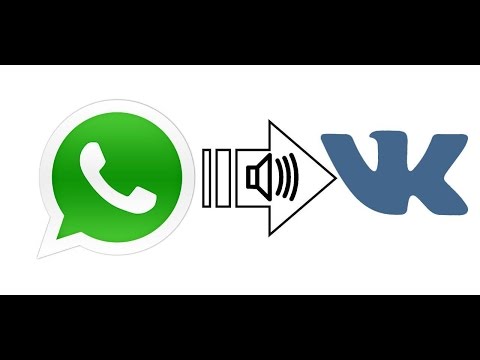 Перенос аудио сообщений Whatsapp в VK