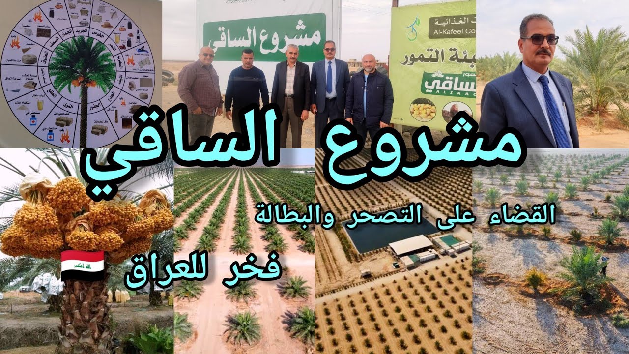 مشروع الساقي العتبة العباسية المقدسة زراعة 38 الف نخيل  110 صنف نخيل مميز محمية ومصانع وأشجار مثمرة