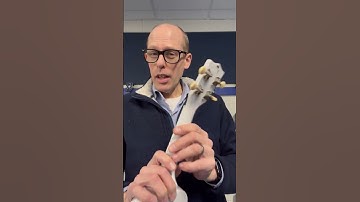 UkeTip No. 72 - Buzzing ukulele? Check the tuners!