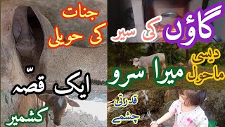 Village Vlog Day 1 | Thandy Pani Ky Chashmy | Haunted Mansion| Ajeeb Kahani | New Vlog | SK World