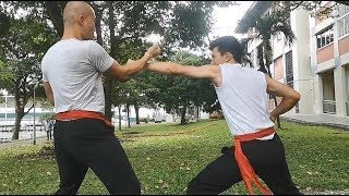 Hammer Backfist in Martial Arts (Application in Hung Gar)