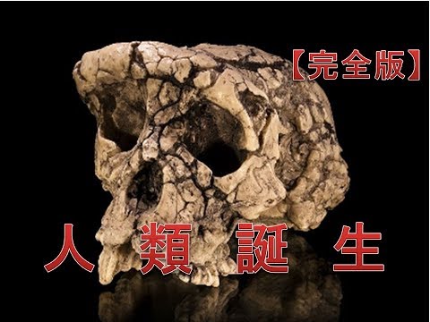 人類誕生【完全版】