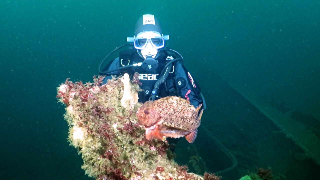 D/S Pollux