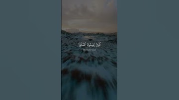 سورة لقمان ❤️ | القارئ ياسر الدوسري 🎧 #قرآن #سبحان_الله #استغفار #استغفر_الله #ياسر_الدوسري #قرآن