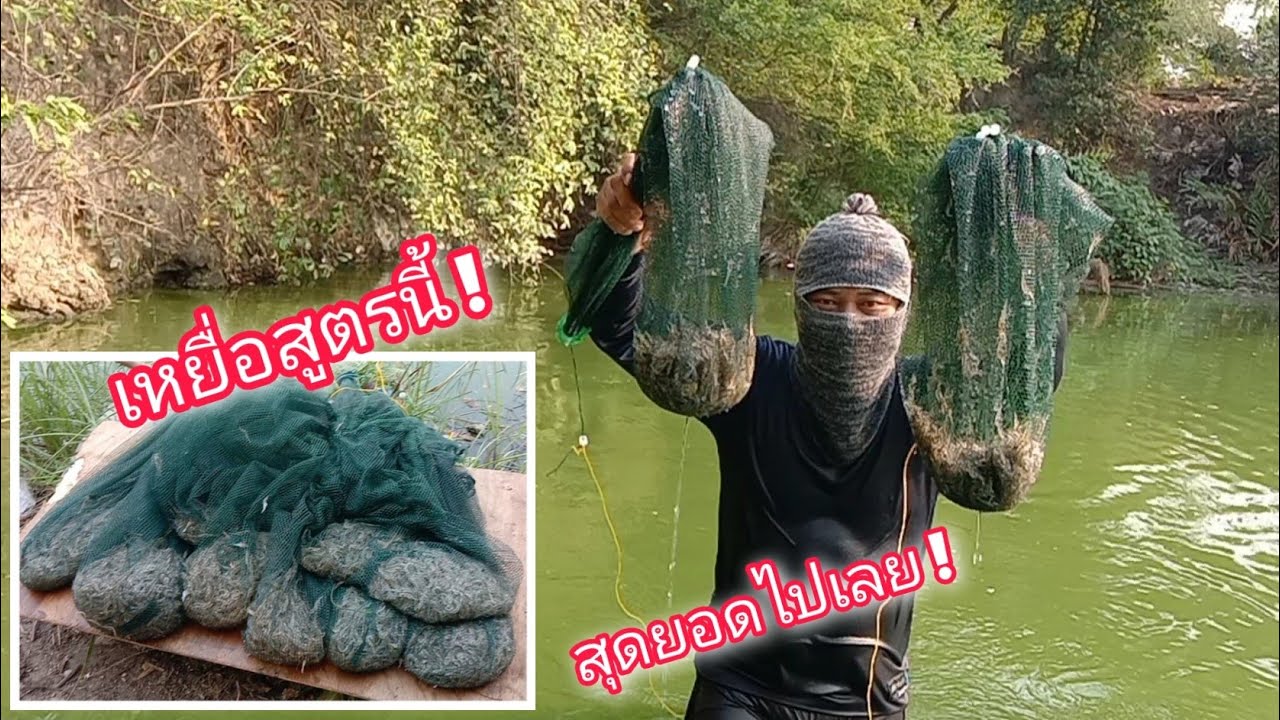 สูตรเหยื่อดักกุ้งแบบแห้งเข้าเต็มๆทุกหลัง วิธีทำเหยื่อและเทคนิคดักกุ้งให้เข้าเยอะ Ep.208