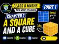 Class 8 Maths Chapter 1 | A Squares & a Cube | NCERT New Syllabus | Part 1 | Easy Explanation